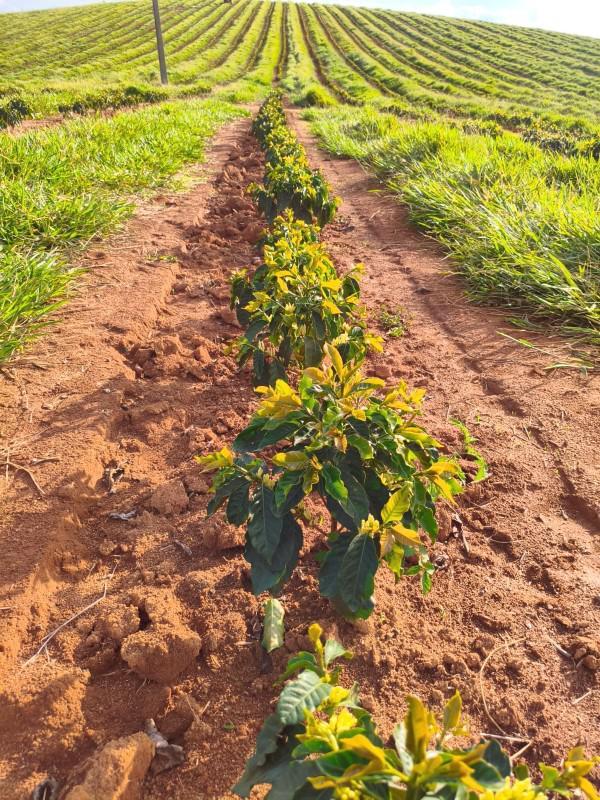 Fazenda, Zona Rural, 0 Quarto, 0 Vaga