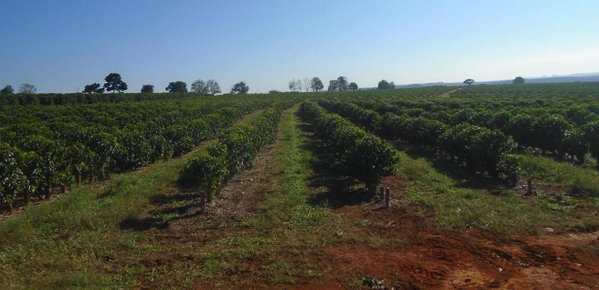 Fazenda, Zona Rural, 4 Quartos, 0 Vaga