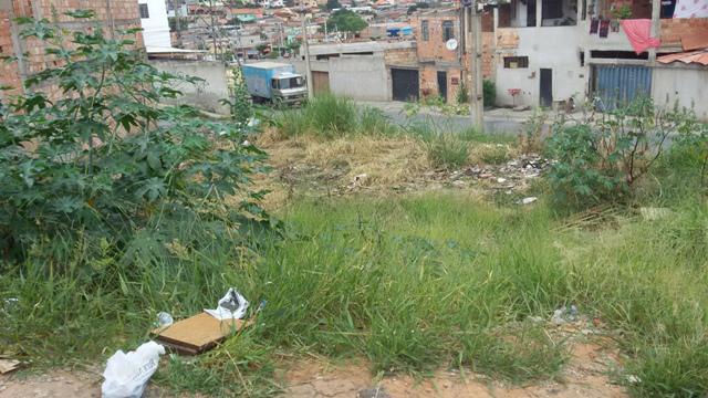 Lote, Oitis