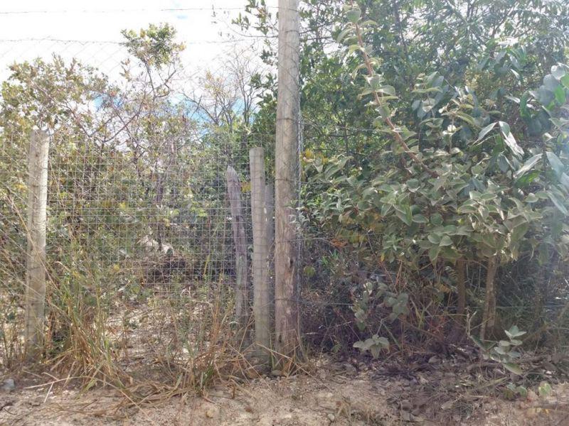 Lote, Ravena, 0 Quarto, 0 Vaga