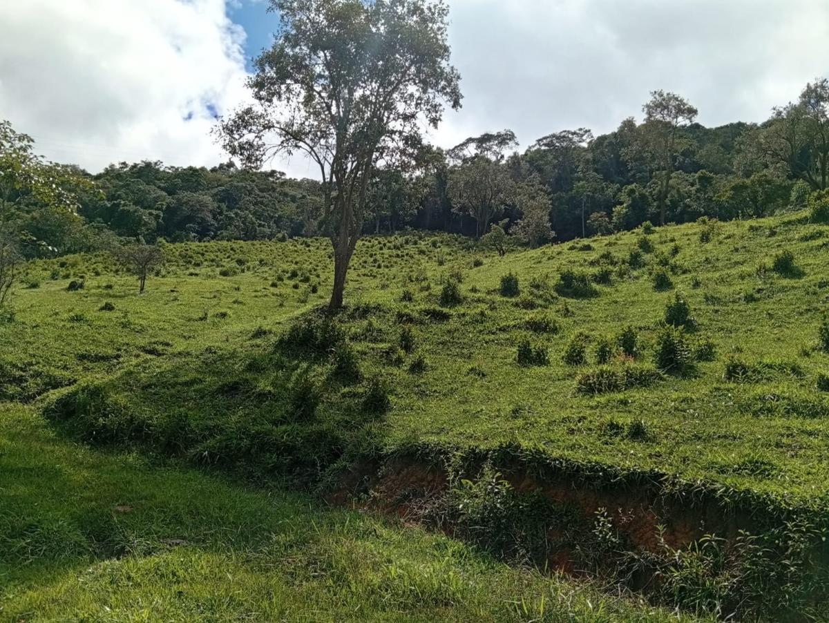 Fazenda, Centro, 3 Quartos, 10 Vagas, 1 Suíte