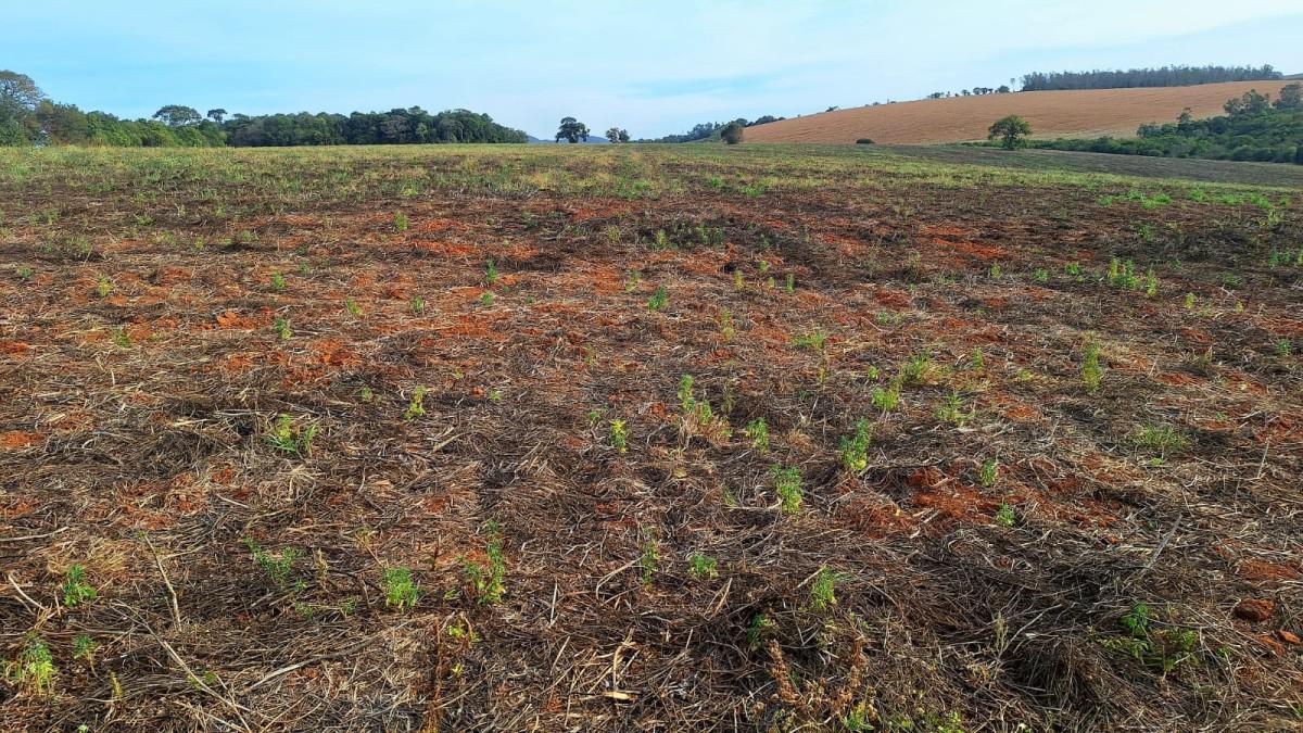 Fazenda, Zona Rural, 0 Quarto, 0 Vaga