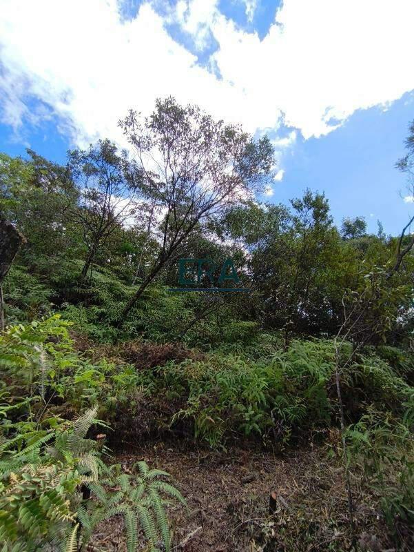 Lote, Parque do Engenho, 0 Quarto, 0 Vaga
