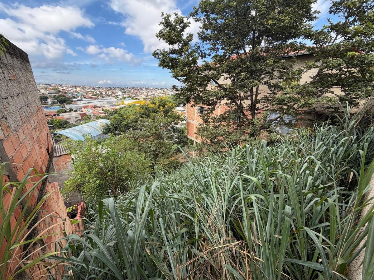 Lote, Tropical, 0 Quarto, 0 Vaga