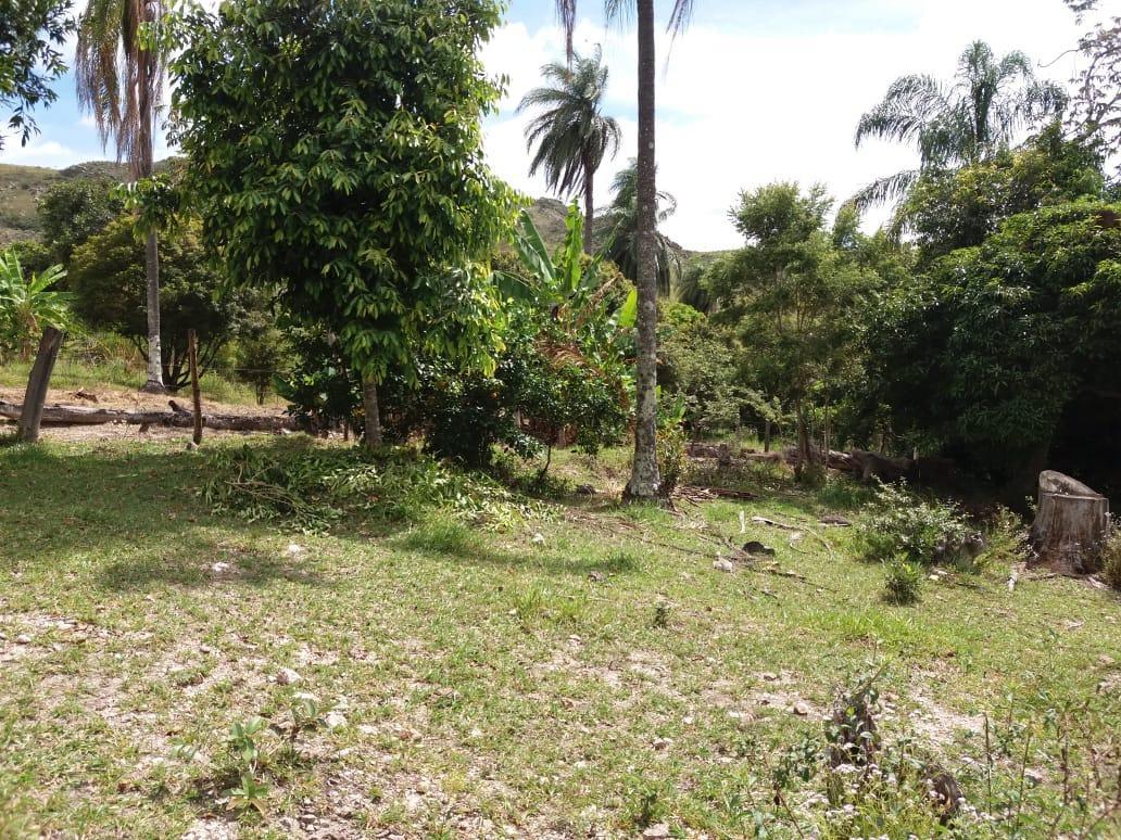 Fazenda, Centro, 0 Quarto, 0 Vaga