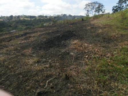 Lote, Estaleiro, 0 Quarto, 0 Vaga
