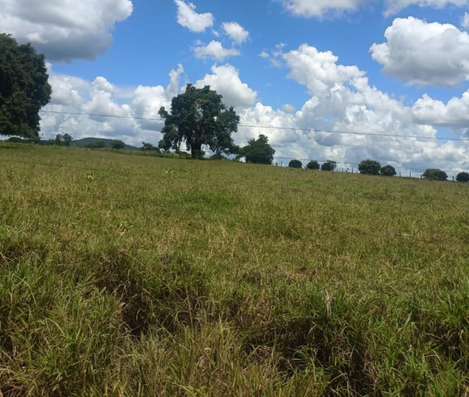 Fazenda, Zona Rural, 0 Quarto, 0 Vaga