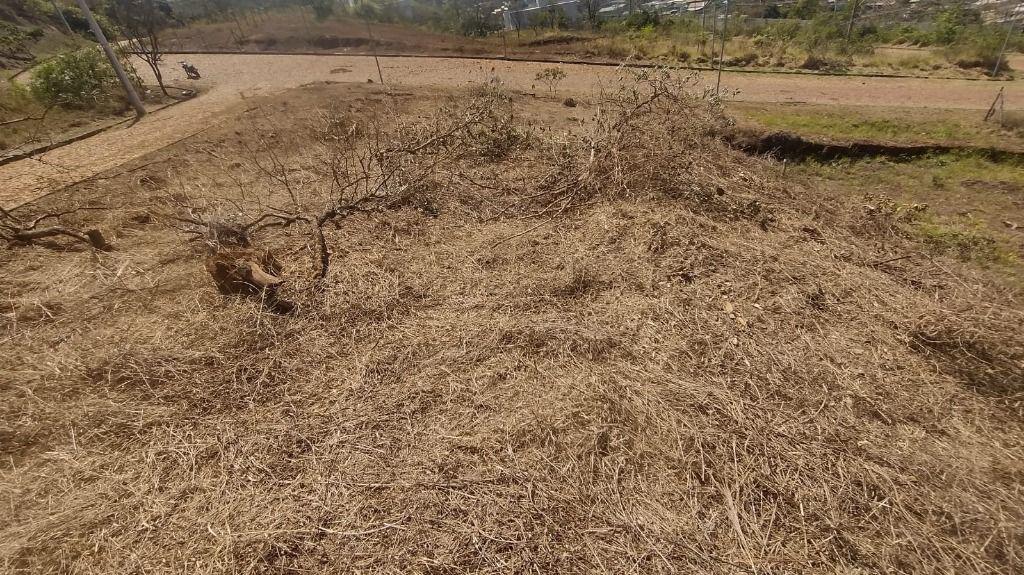 Lote, Paciência, 0 Quarto, 0 Vaga