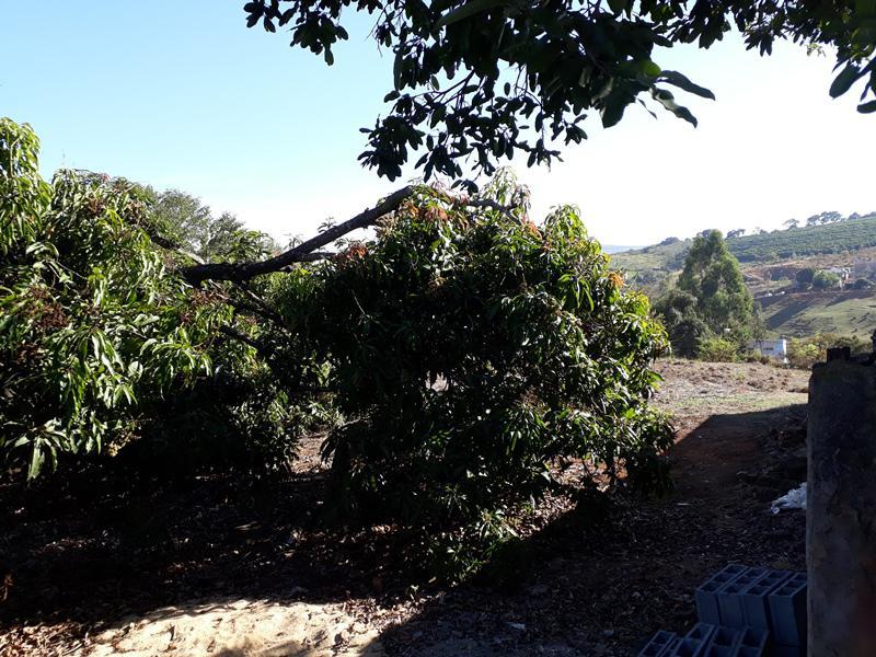 Lote, Centro, 0 Quarto, 0 Vaga