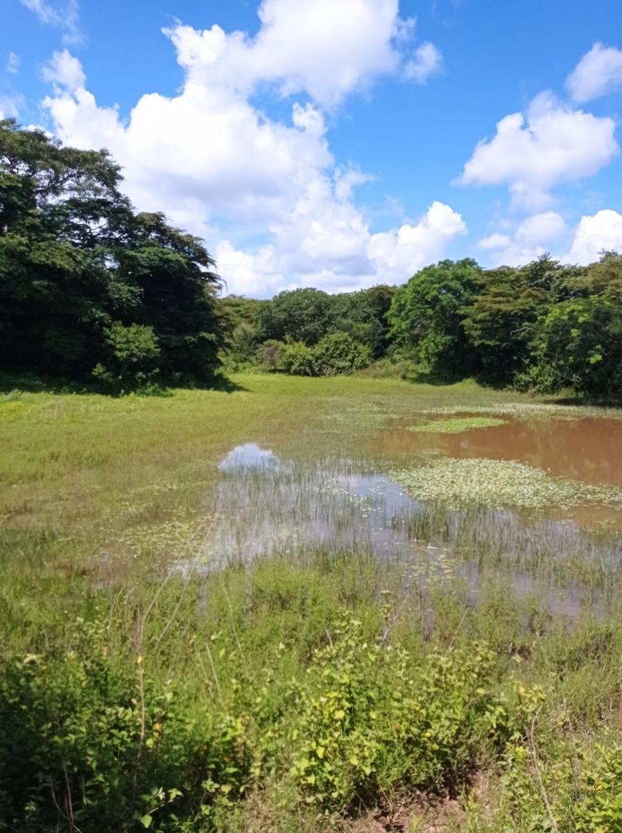Fazenda, Buriti Grande
