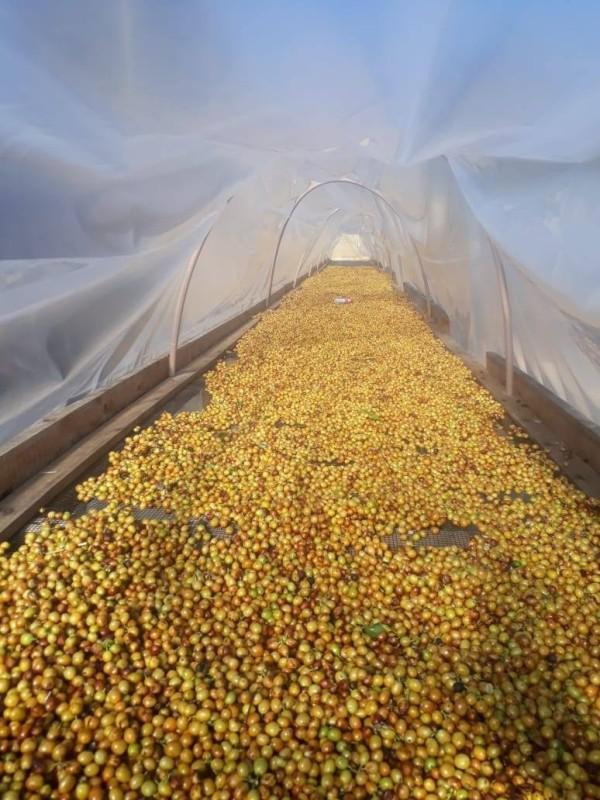 Fazenda, Zona Rural, 0 Quarto, 0 Vaga