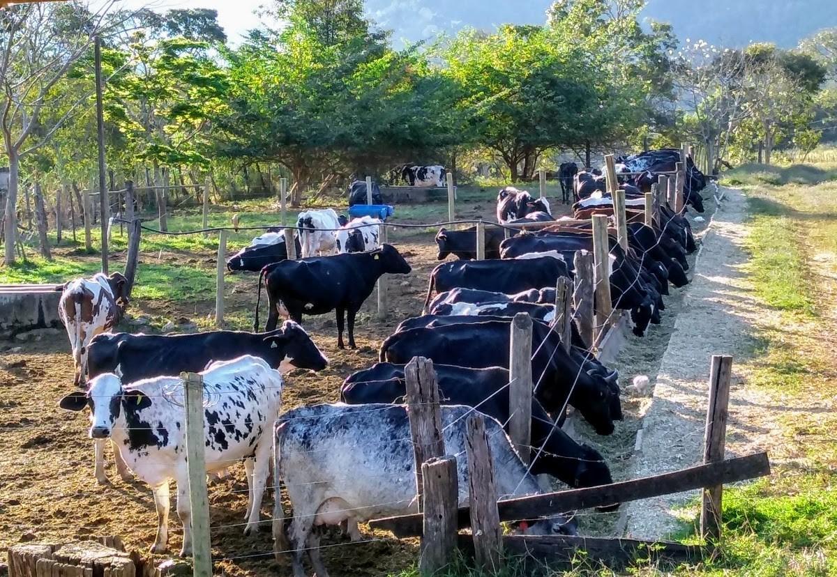 Fazenda, Zona Rural, 4 Quartos, 2 Vagas