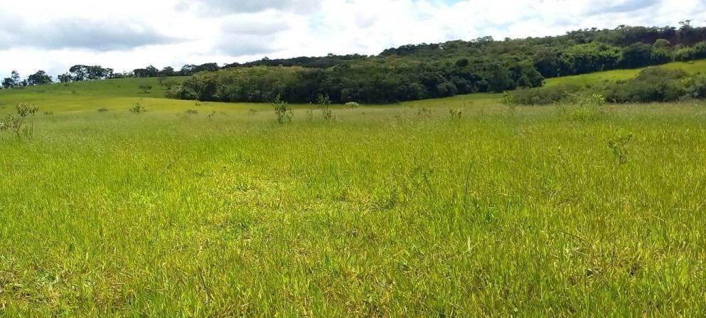 Fazenda, Centro, 5 Quartos, 2 Vagas