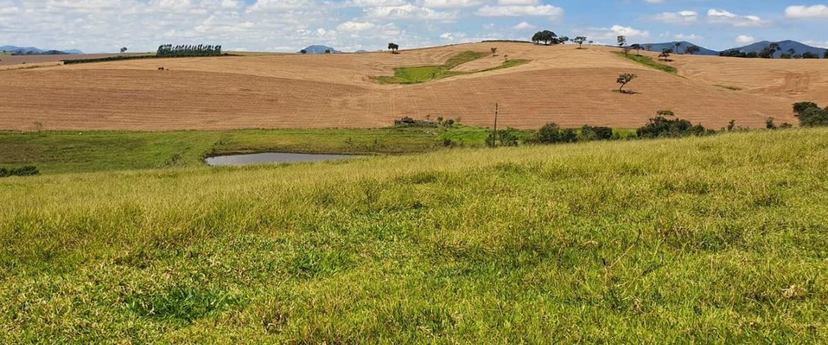 Fazenda, Centro, 4 Quartos, 2 Vagas, 1 Suíte
