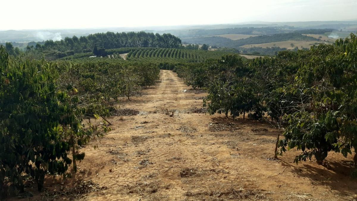 Fazenda, Centro, 1 Quarto, 1 Vaga, 1 Suíte