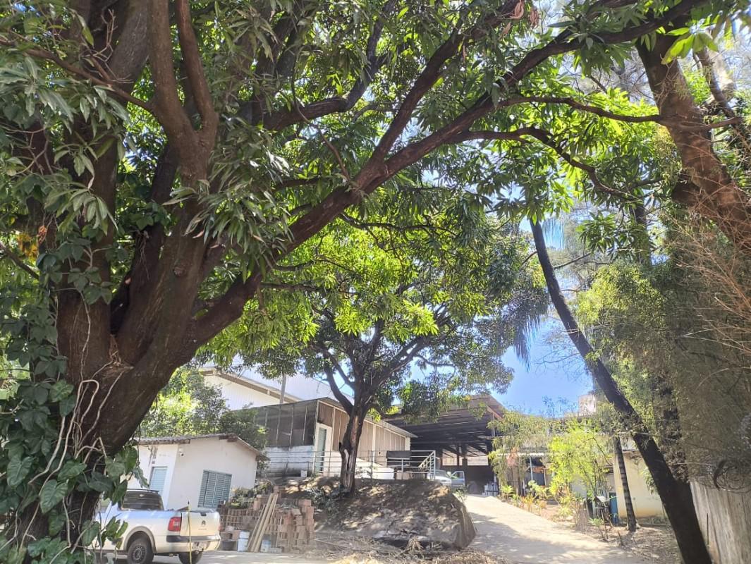 Galpão, São João Batista (venda Nova), 0 Quarto, 5 Vagas