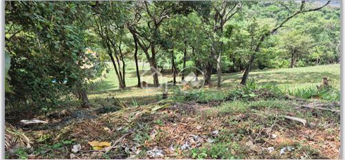 Lote em Condomínio, Ville Casa Branca