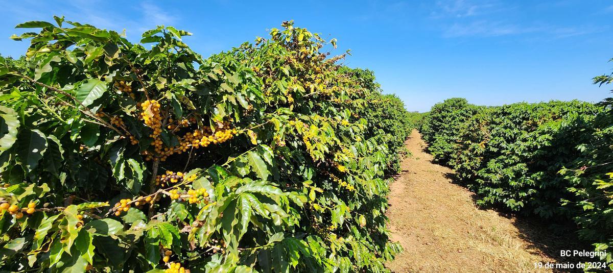 Fazenda, Zona Rural, 1 Quarto, 0 Vaga