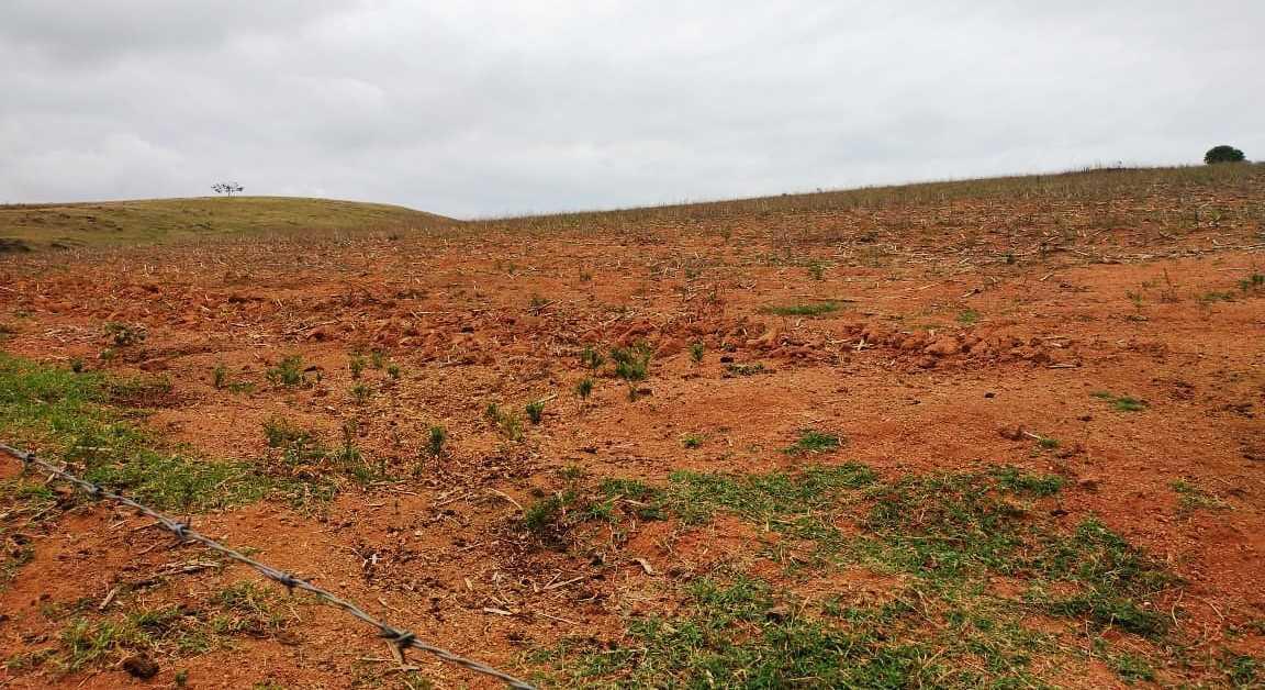 Fazenda, Zona Rural, 3 Quartos, 0 Vaga