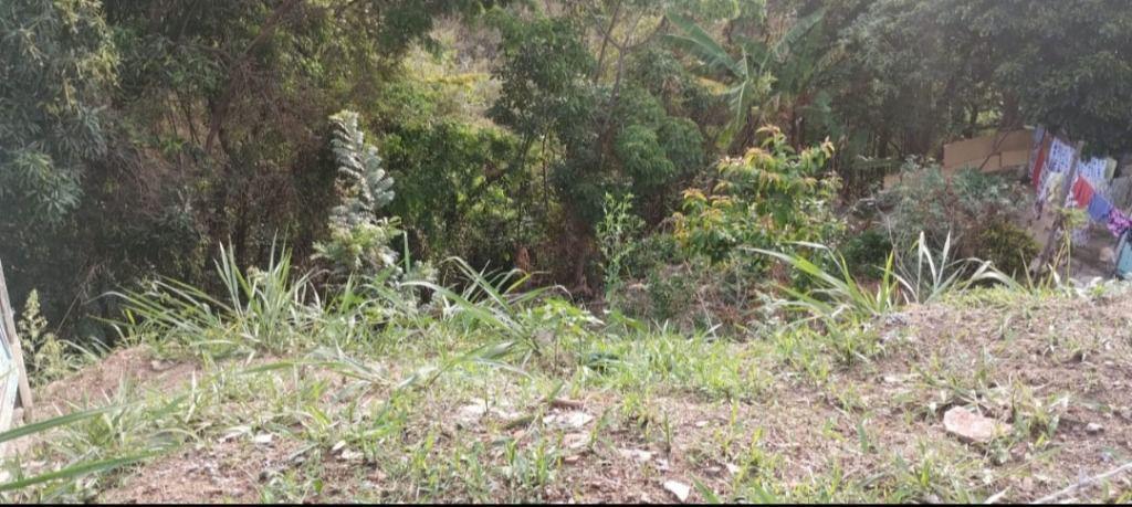 Lote, Vila Rica, 0 Quarto, 0 Vaga