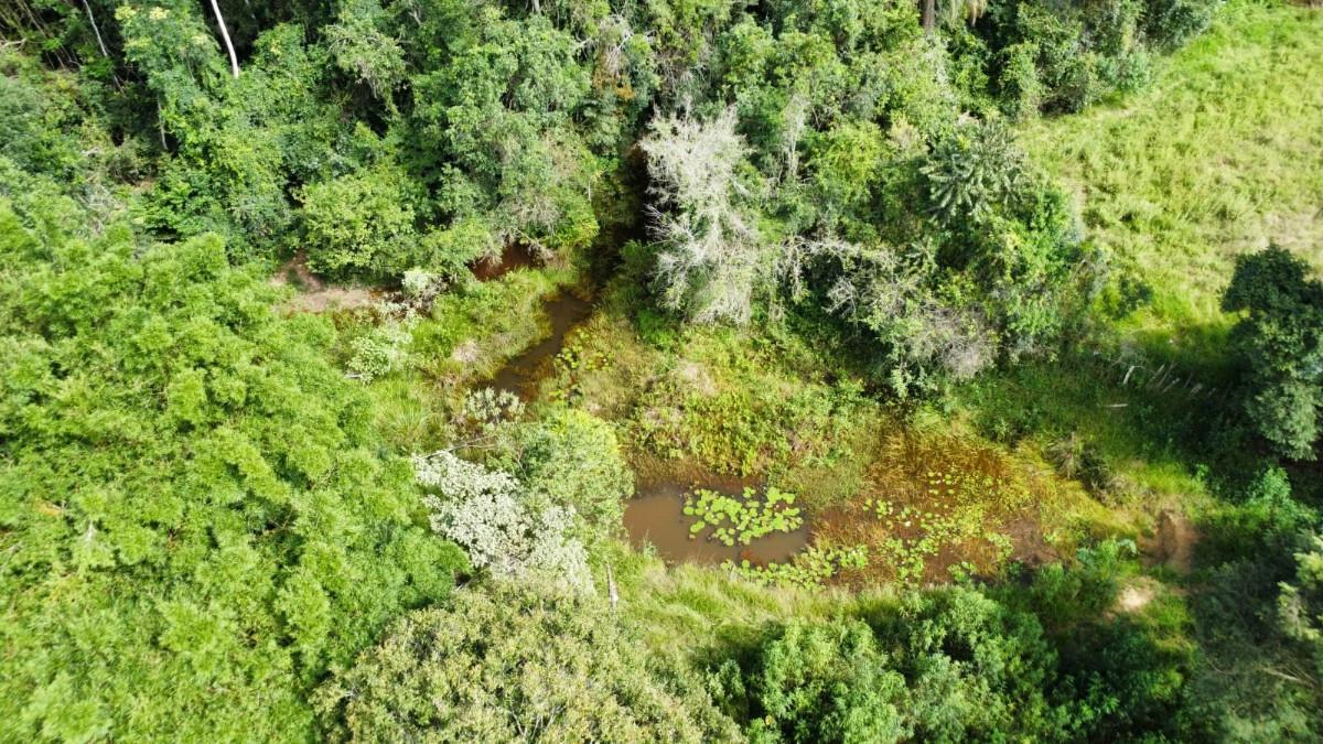 Fazenda, Zona Rural, 0 Quarto, 0 Vaga