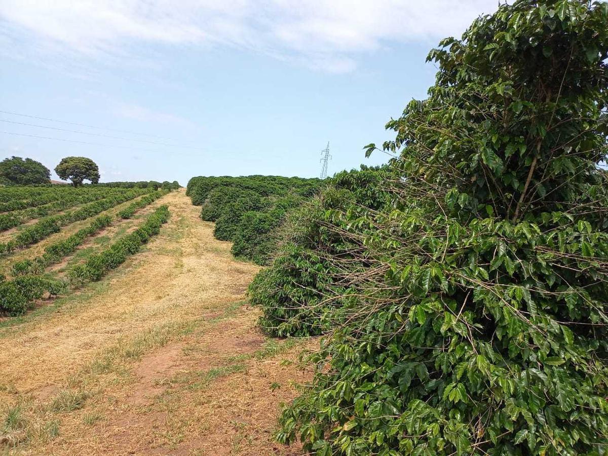 Fazenda, Zona Rural, 1 Quarto, 0 Vaga