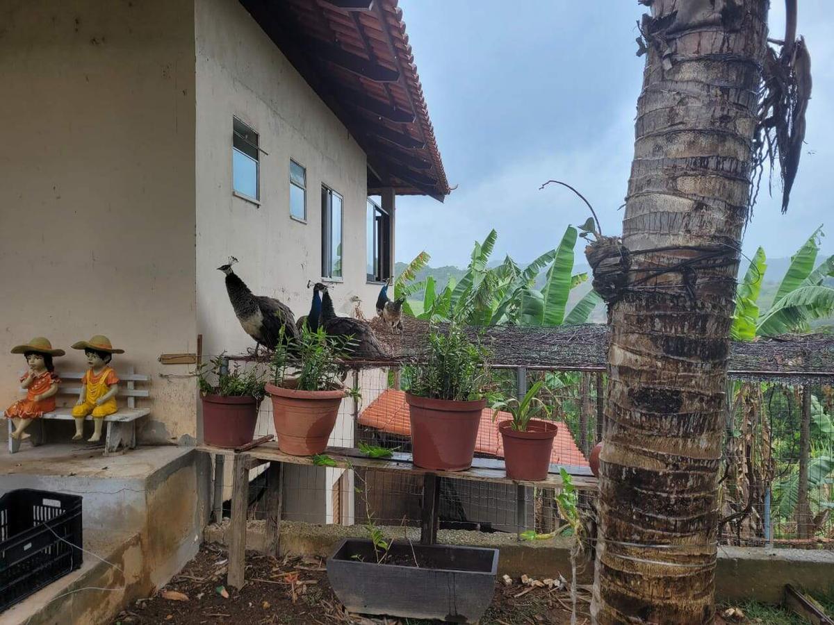 Fazenda, Caracois de Baixo, 4 Quartos, 12 Vagas, 1 Suíte