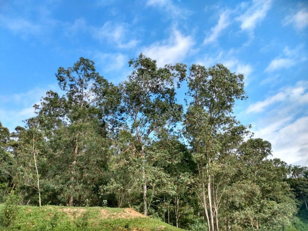 Fazenda, Zona Rural, 0 Quarto, 0 Vaga