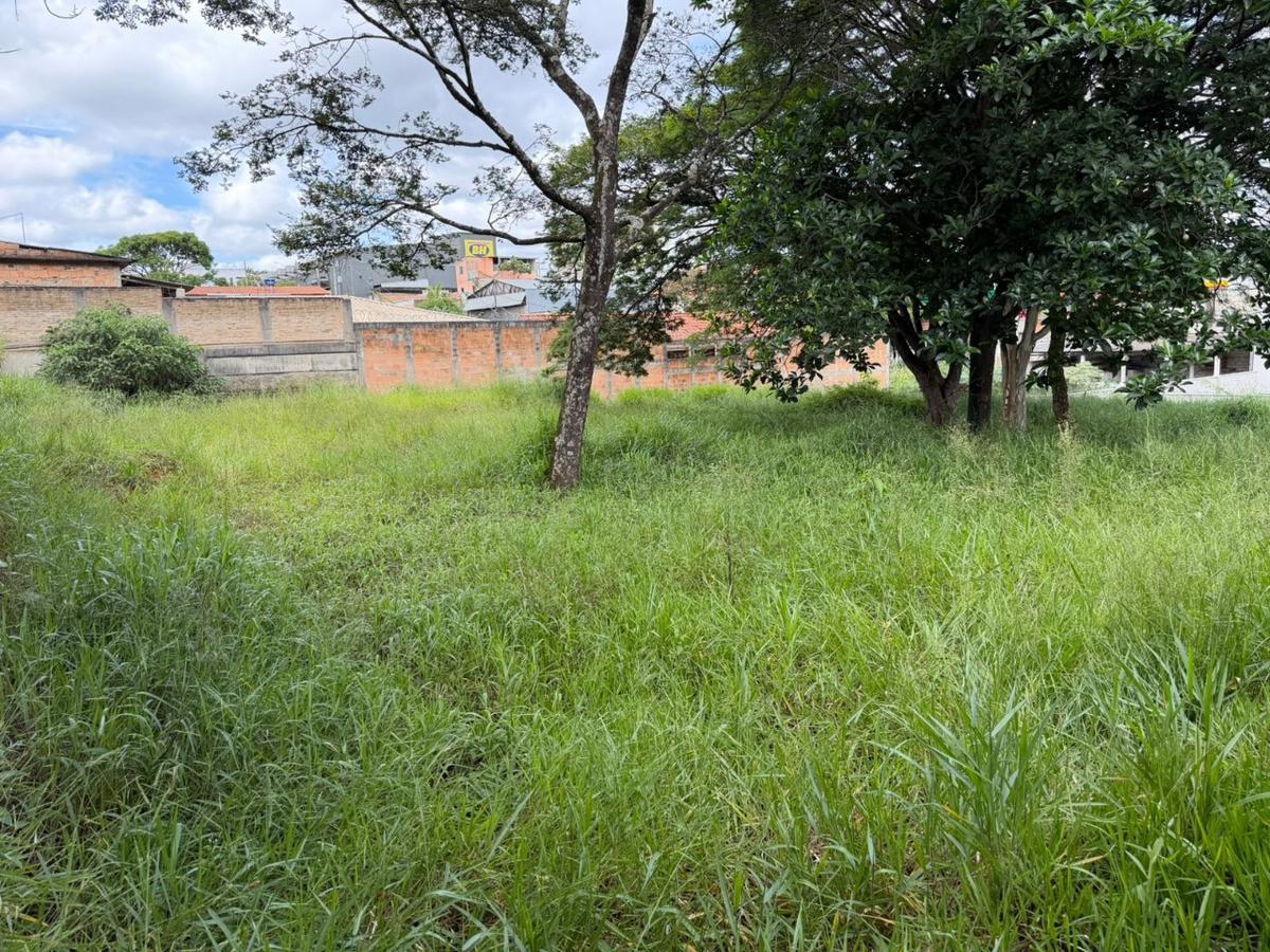 Lote, Veneza, 0 Quarto, 0 Vaga
