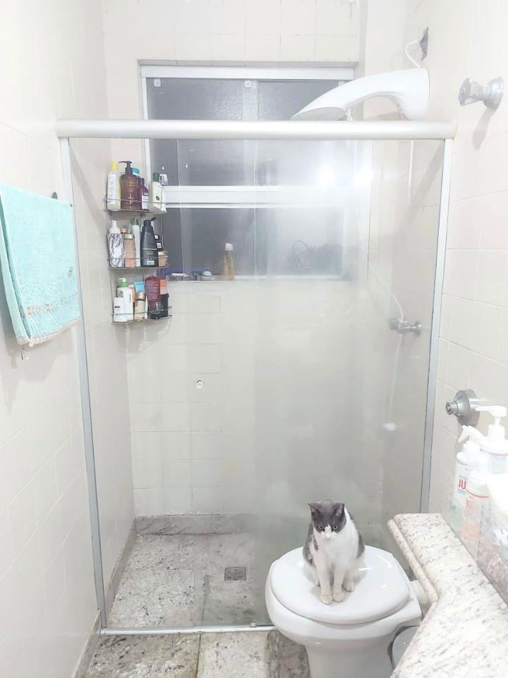 Apartamento, Santa Efigênia, 3 Quartos, 1 Vaga