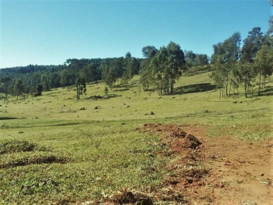 Fazenda, Centro, 3 Quartos, 1 Vaga, 1 Suíte