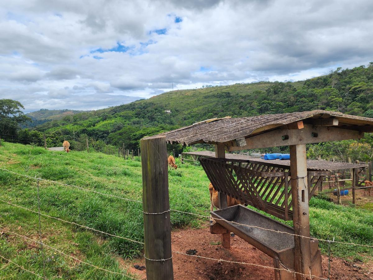 Fazenda, Acurui, 3 Quartos, 0 Vaga, 1 Suíte