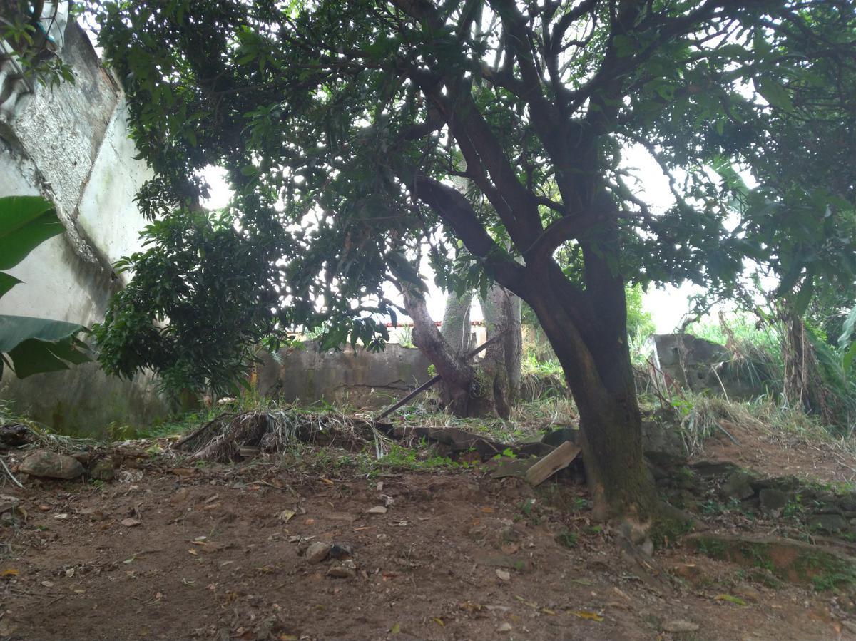 Lote, Graça, 0 Quarto, 0 Vaga