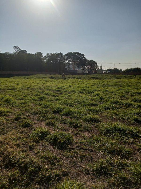 Lote, Bandeirinhas, 0 Quarto, 0 Vaga