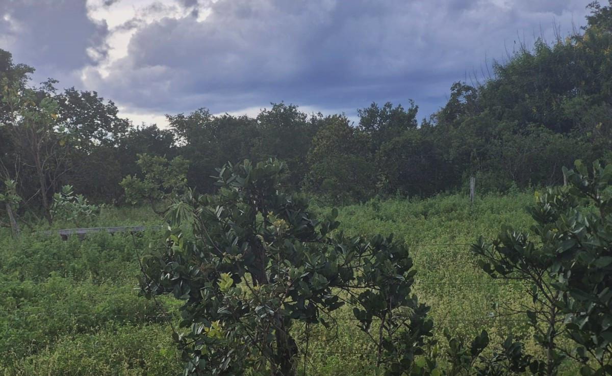 Fazenda, Zona Rural, 0 Quarto, 0 Vaga