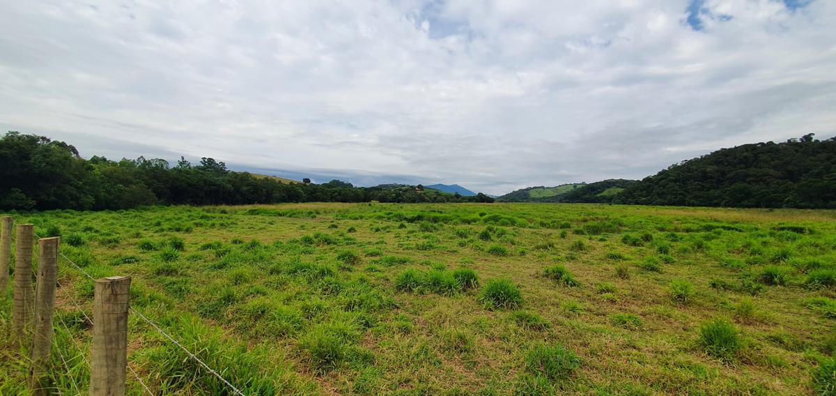Fazenda, Centro, 4 Quartos, 2 Vagas, 1 Suíte