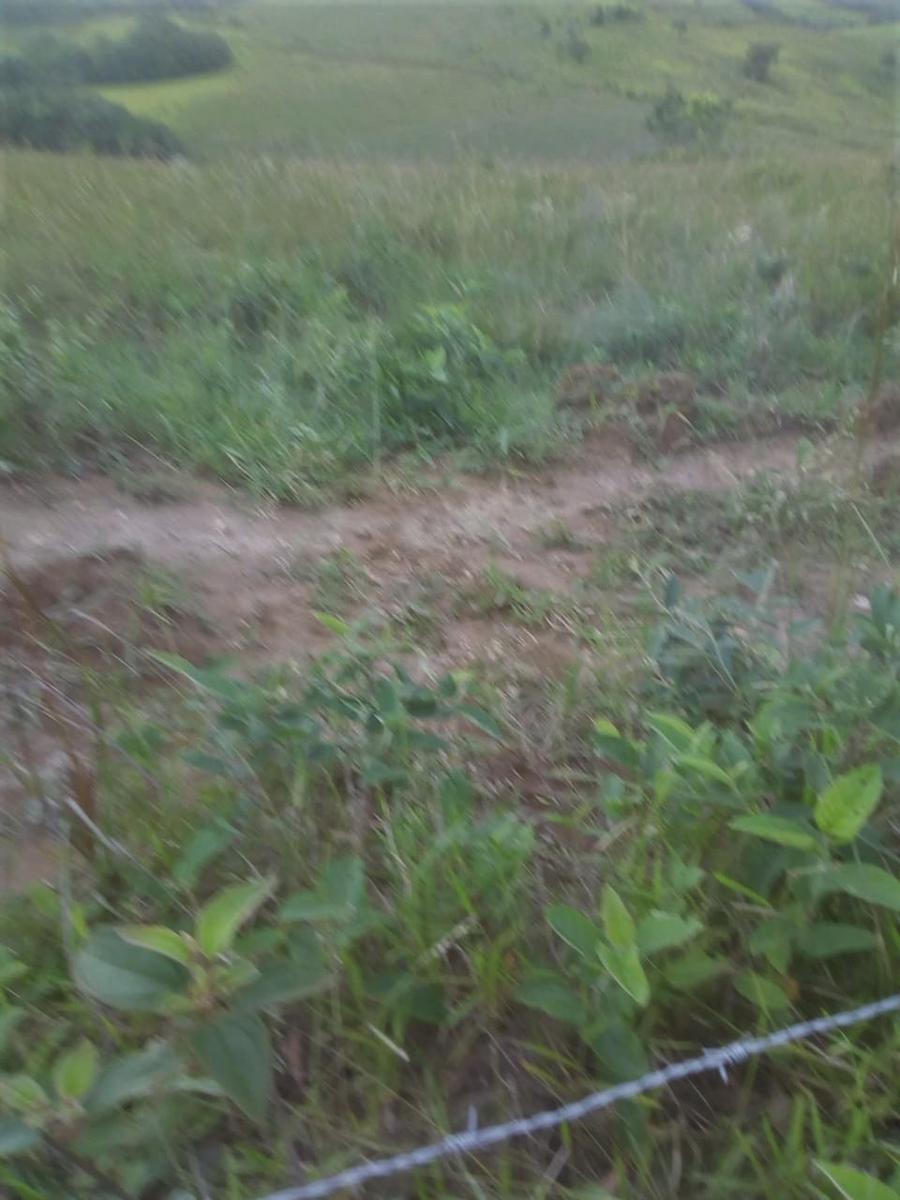 Fazenda, Centro, 2 Quartos, 1 Vaga