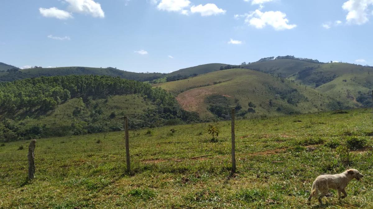 Fazenda, Centro, 0 Quarto, 0 Vaga
