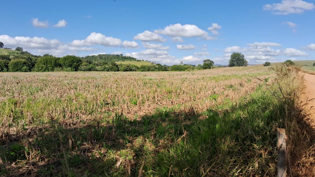 Fazenda, Centro, 0 Quarto, 0 Vaga