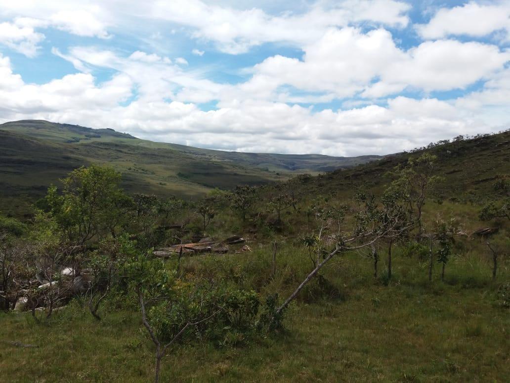 Fazenda, Centro, 0 Quarto, 0 Vaga