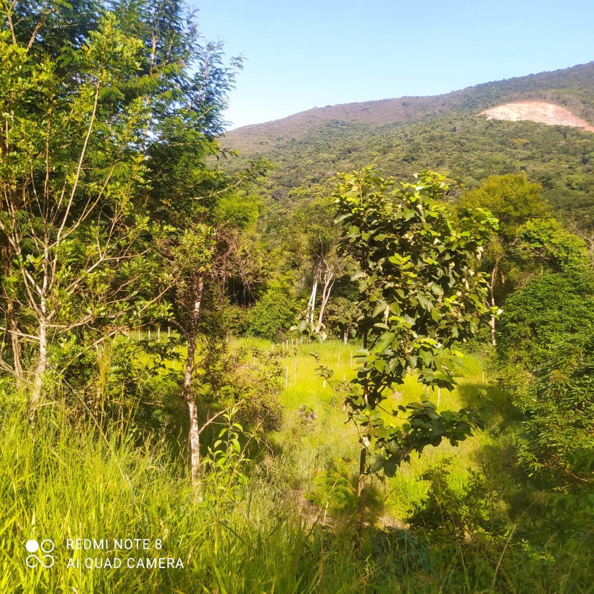 Fazenda, Zona Rural, 3 Quartos, 5 Vagas