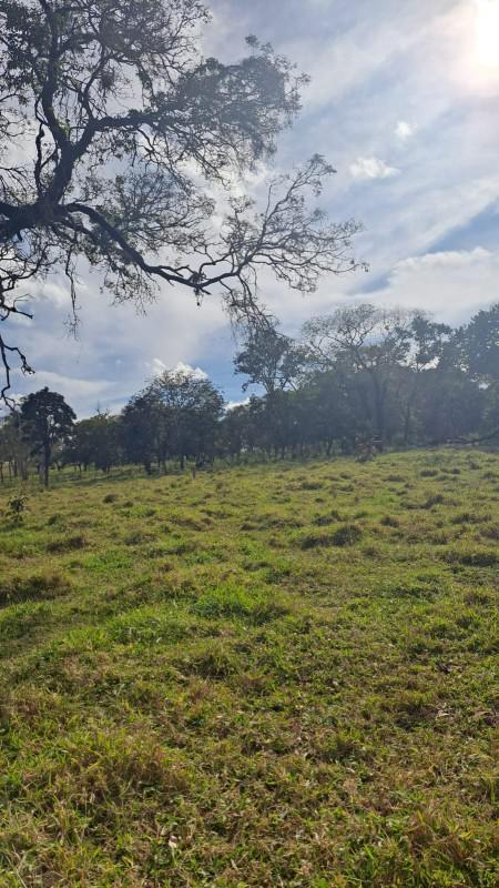 Lote, Tavares, 0 Quarto, 0 Vaga