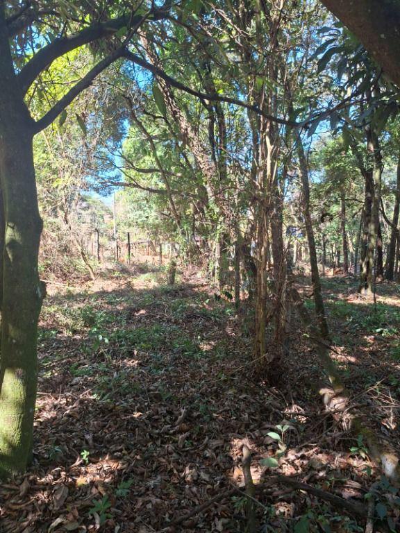 Lote, Recanto da Aldeia, 0 Quarto, 0 Vaga