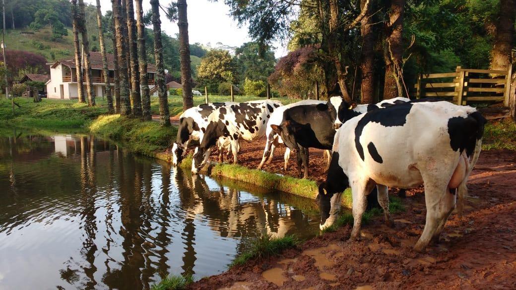 Fazenda, Centro, 3 Quartos, 0 Vaga