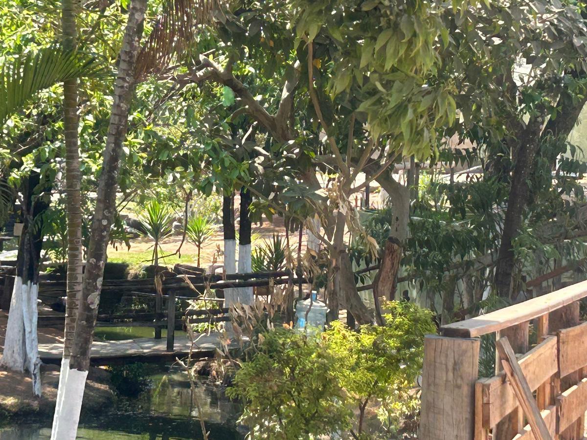 Lote, Trevo, 5 Quartos, 5 Vagas