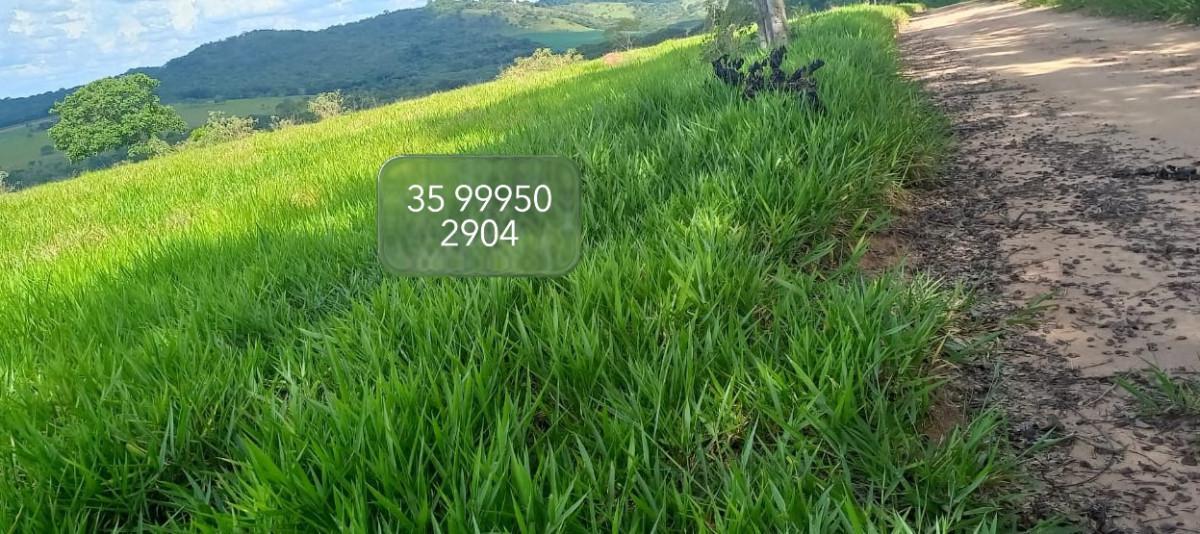 Fazenda, Zona Rural, 0 Quarto, 0 Vaga