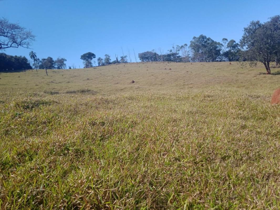 Fazenda, Centro, 0 Quarto, 0 Vaga