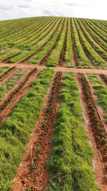Fazenda, Zona Rural, 0 Quarto, 0 Vaga