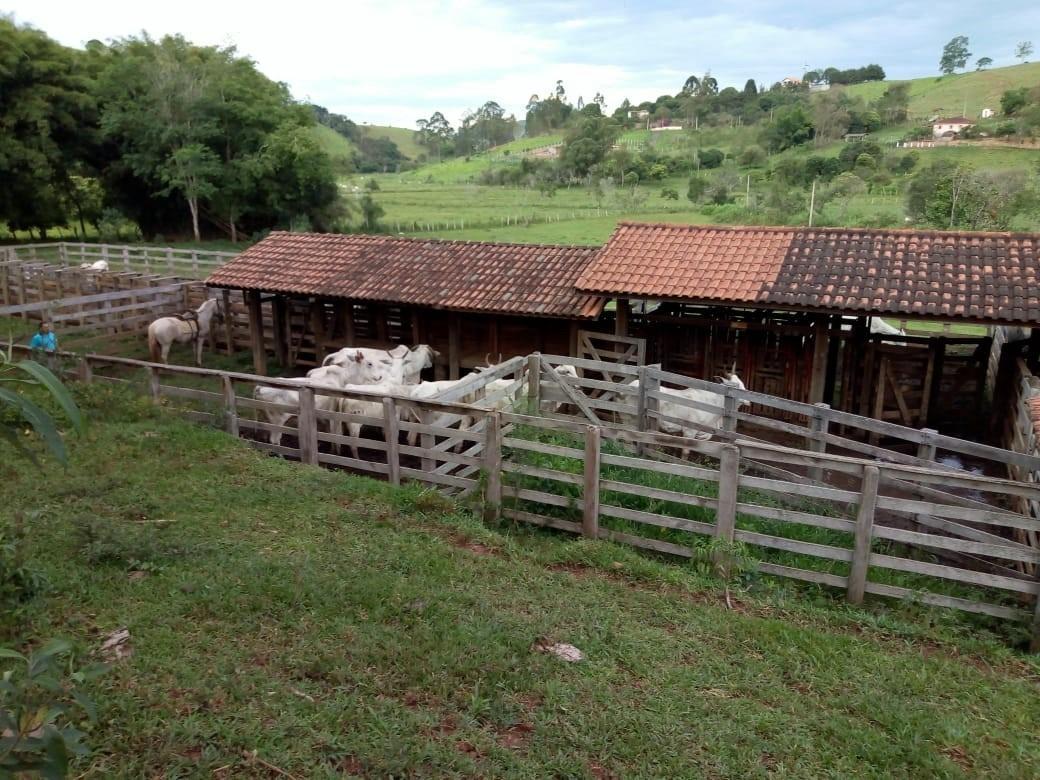 Fazenda, Centro, 1 Quarto, 1 Vaga, 1 Suíte