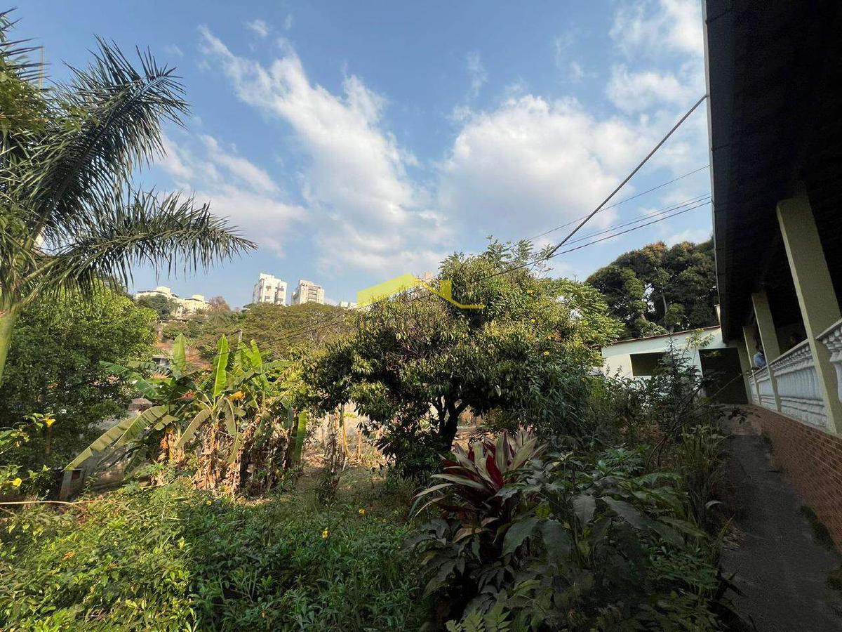 Lote, Cinquentenário, 5 Vagas